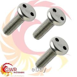 2-hole Pan Head Security Machine Screws Stainless Pig Nose Snake Eye M3 M4 M5 M6