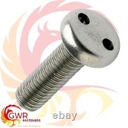 2-hole Pan Head Security Machine Screws Stainless Pig Nose Snake Eye M3 M4 M5 M6