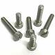 3/16 Bsw Cheese Head Screws 303 Stainless Steel Slotted Cheeseheads