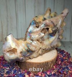 Aura Druzy Zebra Jasper Crystal Dragon Head 15.5cm 900g Rare Gift Skull Must See