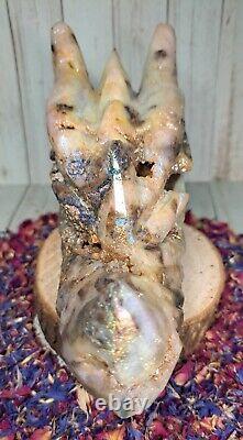 Aura Druzy Zebra Jasper Crystal Dragon Head 15.5cm 900g Rare Gift Skull Must See