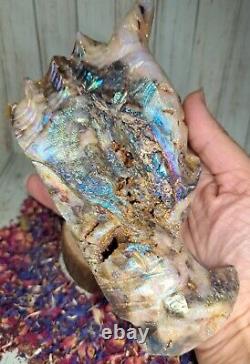 Aura Druzy Zebra Jasper Crystal Dragon Head 15.5cm 900g Rare Gift Skull Must See