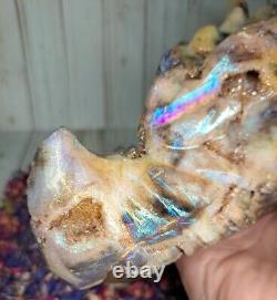 Aura Druzy Zebra Jasper Crystal Dragon Head 15.5cm 900g Rare Gift Skull Must See