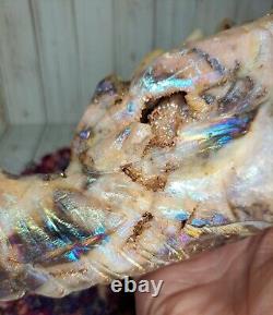 Aura Druzy Zebra Jasper Crystal Dragon Head 15.5cm 900g Rare Gift Skull Must See