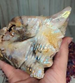 Aura Druzy Zebra Jasper Crystal Dragon Head 15.5cm 900g Rare Gift Skull Must See