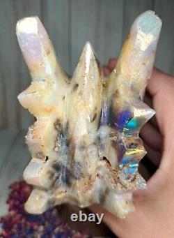 Aura Druzy Zebra Jasper Crystal Dragon Head 15.5cm 900g Rare Gift Skull Must See