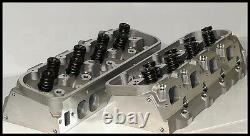 BIG BLOCK BBC CHEVY 454 496 300cc OVAL PORT ALUMINUM HEADS ASSEM. BBC-OVAL-274