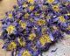 Blue Lotus Dried Flower Decor 1g 10kg