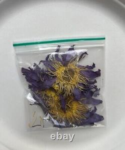 Blue Lotus Dried Flower Decor 1g 10kg