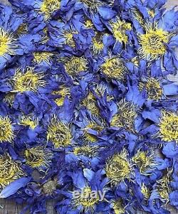 Blue Lotus Dried Flower Decor 1g 10kg