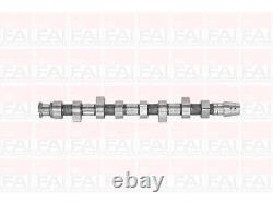 C300 Engine Cam Camshaft Fai Autoparts For Audi A3,8l1 1.9 Tdi 1.9l 66kw, 81kw