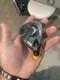 Cobra Ds Adapt Tour Spec 3 Hybrid Head Only. 19 Degrees. Rh. Brand New
