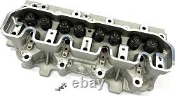 Cylinder Head + Valves/Springs For Discovery Defender R/Rover 2.5D 300TDi 90-98