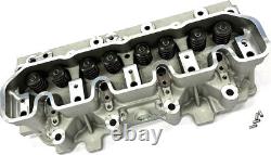 Cylinder Head + Valves/Springs For Discovery Defender R/Rover 2.5D 300TDi 90-98