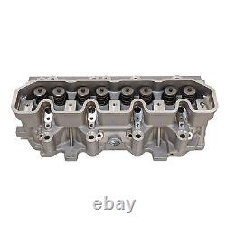 Cylinder Head + Valves & Springs for Land Rover 21L 300TDi Discovery Range Rover