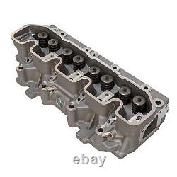 Cylinder Head + Valves & Springs for Land Rover 21L 300TDi Discovery Range Rover