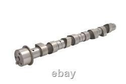 Engine Cam Camshaft Freccia Cm05-2106 I New Oe Replacement