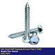 Hex Head Self Tapping Screws Type C (ab) Bzp (din 7976) No16 8mm