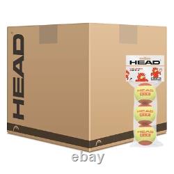 Head TIP Red Mini Tennis Balls 5 Dozen