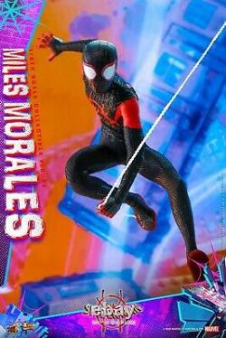 Hot Toys 1/6 Miles Morales Spider-Man Into the Spider-Verse 12inch Action Figure