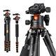 K&f Concept 156cm Carbon Fiber Tripod Camera For Dslr Photography A255c2+bh-36l