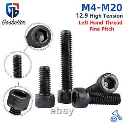 Left Hand Thread Fine Pitch Socket Cap Screw M4 M5M6M8M10M12M14M16M20 Allen Bolt