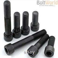 M12 / 12mm HIGH TENSILE 12.9 SOCKET CAP ALLEN HEAD SELF COLOUR BLACK CARS MOTORS