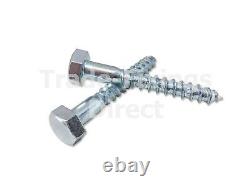 M12 Hexagon Head Coach Screws Zinc Plated Lag Screws Timberfix Sleeper Screws