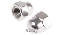 M6 M8 M10 M12 M16 M20 Dome Nuts Metric Domed Head Hexagon