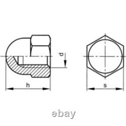 M6 M8 M10 M12 M16 M20 Dome Nuts Metric Domed Head Hexagon