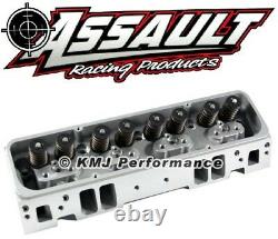 SBC Complete Aluminum Cylinder Heads Angle Plug 205cc. 550 Springs 3/8 Studs