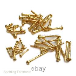SOLID BRASS SLOTTED ROUND DOME HEAD WOOD SCREWS 2g 3g 4g 6g 8g 10g 12g BS1210