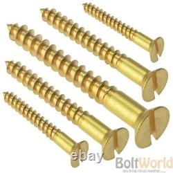 Solid Brass Slotted Flat Countersunk Head Chipboard Wood Screws Woodscrews