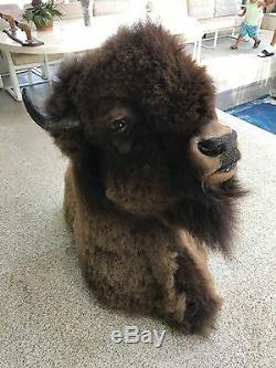 Trophy Buffalo Shoulder Mount, Monster Bull, Bison Head, Antler Taxidermy