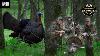 Tyler Farr Off Roost Gobbler Leaves Hens From 400 Yards 2 In One Day