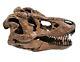 Tyrannosaurus Skull Pre Historic Dinosaur Bone Big Sculpture Head Trex Large New