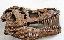 Tyrannosaurus Skull Pre Historic Dinosaur Bone Big Sculpture Head Trex Large New