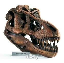 Tyrannosaurus Skull Pre Historic Dinosaur Bone Big Sculpture Head Trex Large New