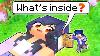 What S Inside Aphmau S Head In Minecraft