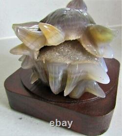 Wolf Head Carving Grey Agate & Crystal Drusy Quartz 628g Wooden Stand Included